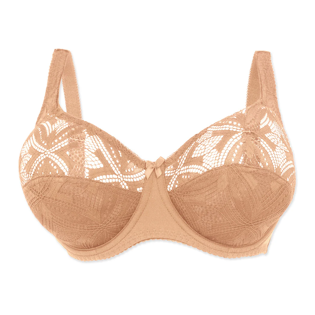 חזיית תחרה Plus Size - Image 6